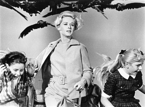 The Birds!  Alfred Hitchcock's classic horror thriller about avian revenge and an idyllic seaside town turned into a nightmare!